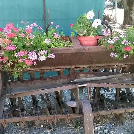 La Cantina Via Campiglione Di Assisi * Bastia Umbra